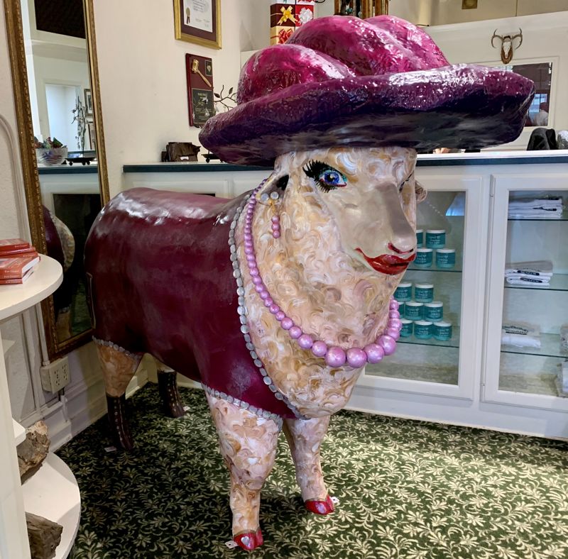 Photo of the sheep