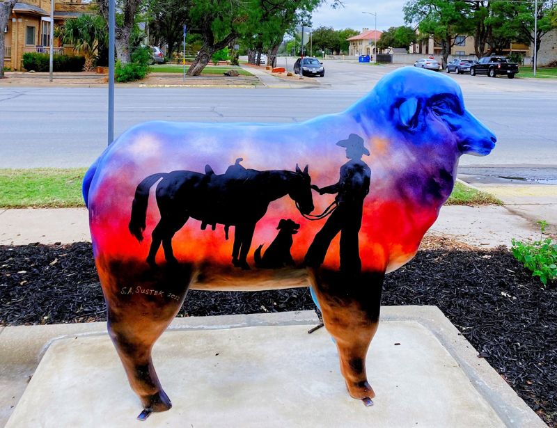 Photo of the sheep