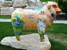 Photo of the sheep