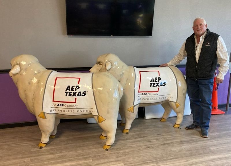 Photo of the sheep