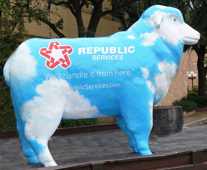 Photo of the sheep