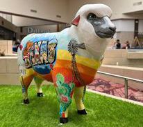 Photo of the sheep