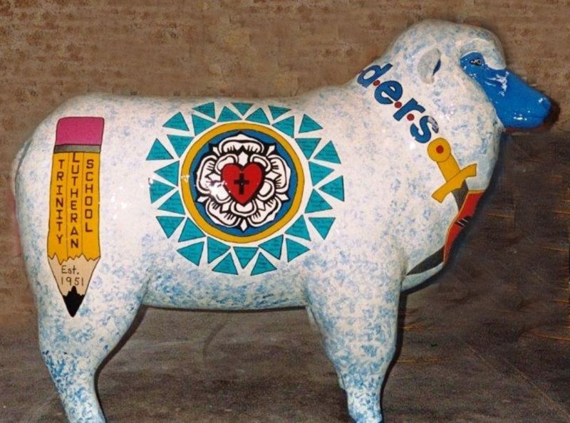 Photo of the sheep
